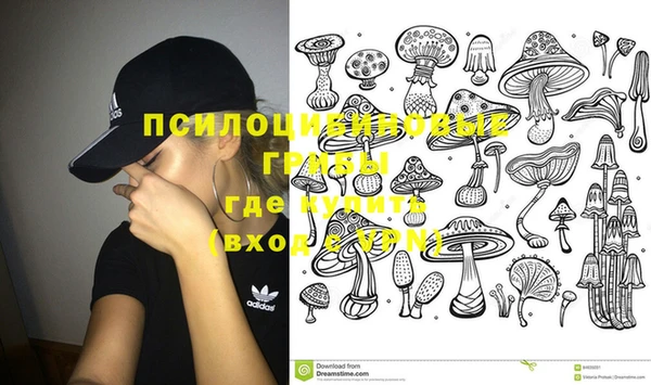 2c-b Надым