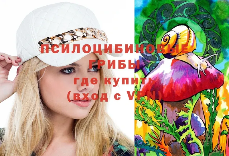 Псилоцибиновые грибы Psilocybine cubensis  Красноуральск 